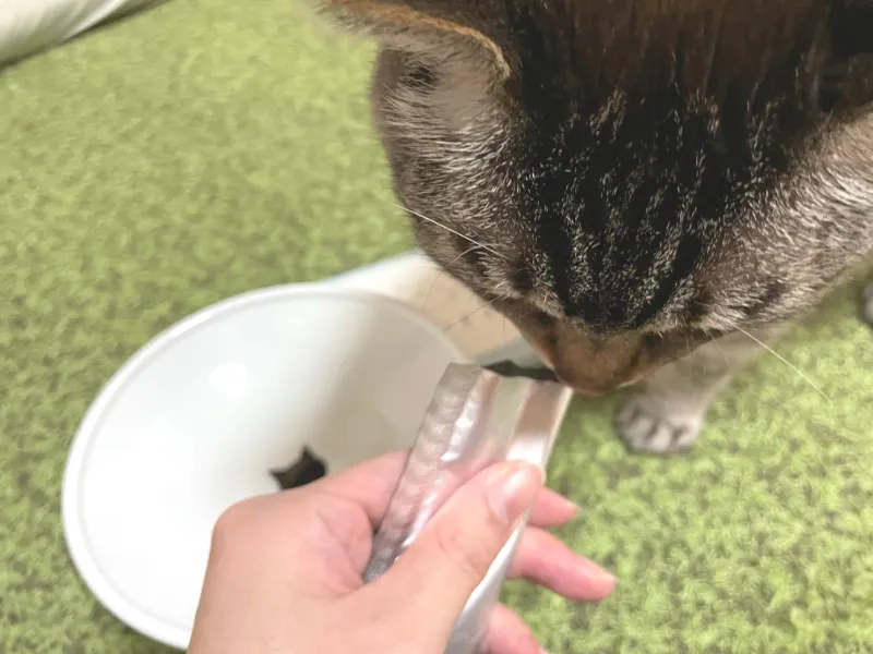 ねこり　食べる